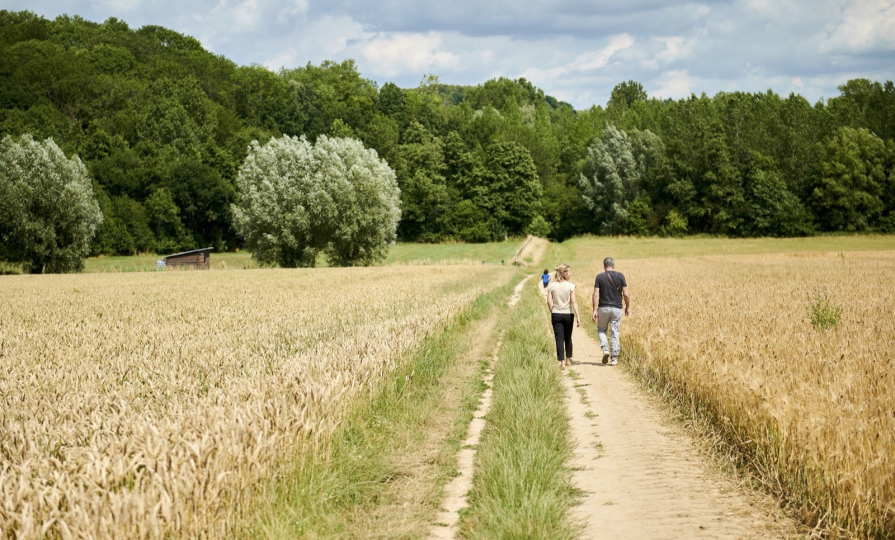 Sentier de l'étrange 1